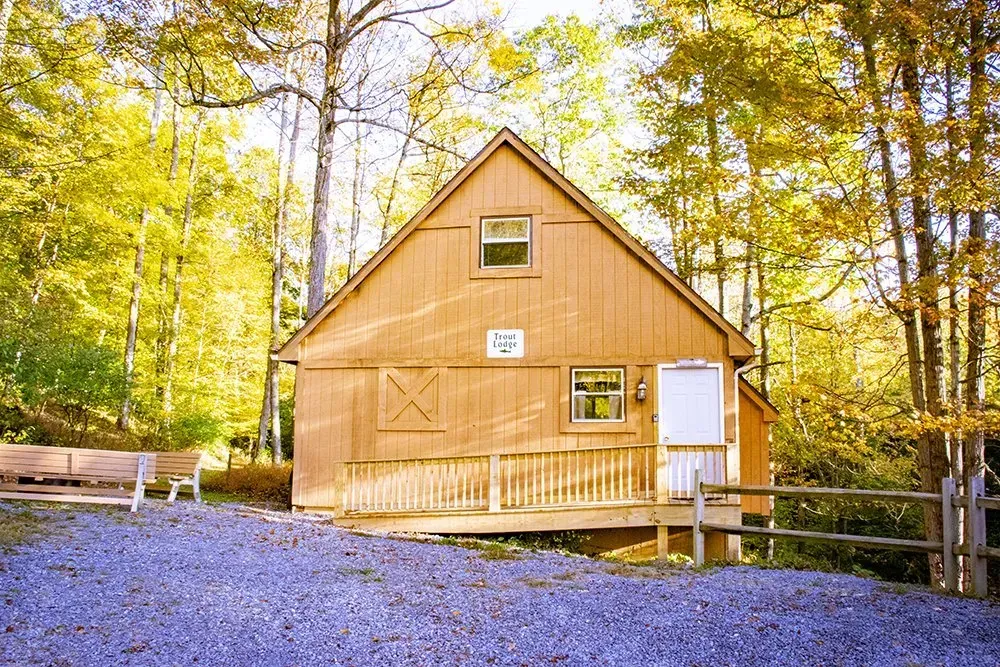 A tan wooden cabin with a deck and stairs sits in a forest of trees with yellow autumn leaves above a gravel parking area.