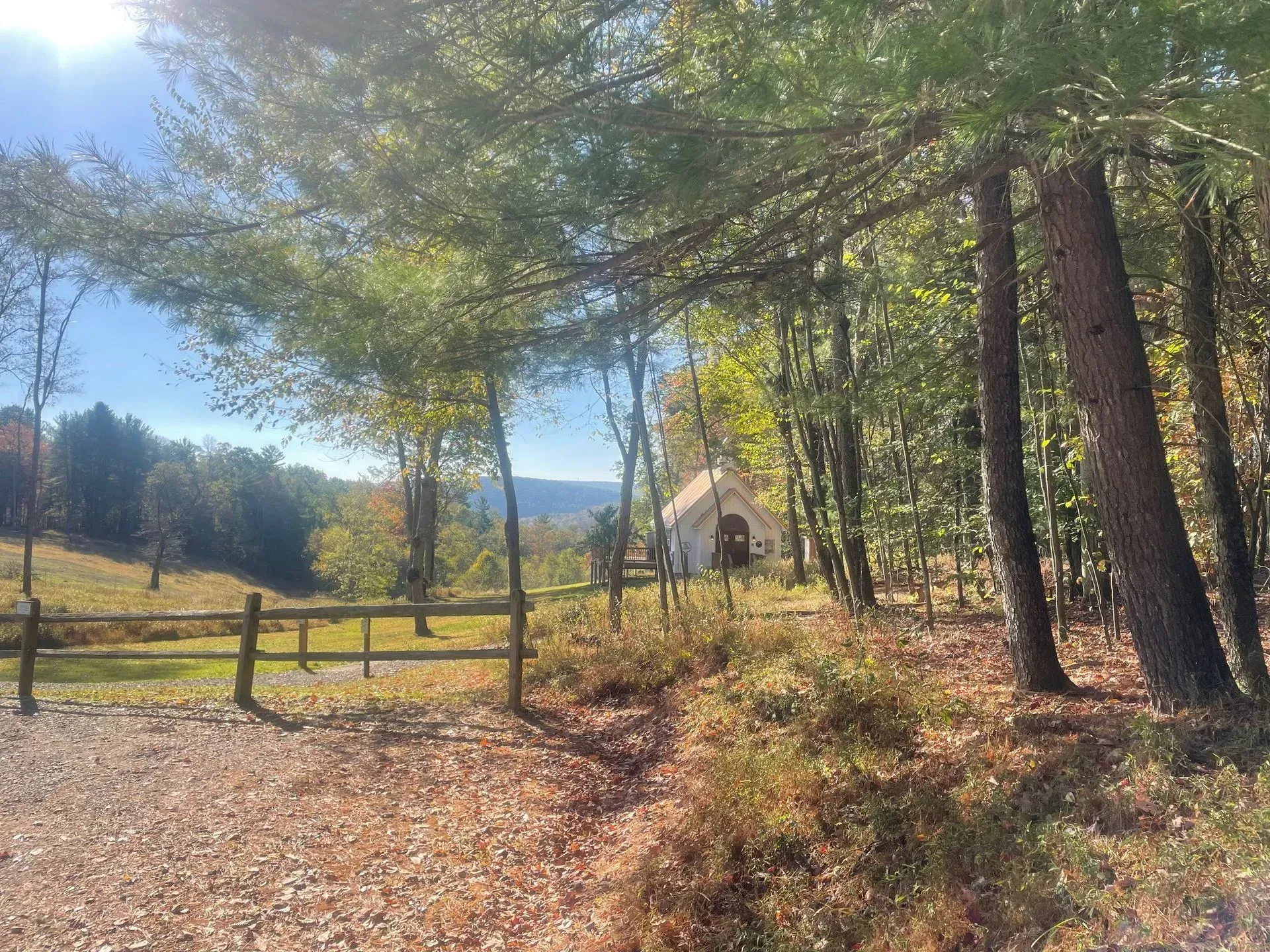 A small white chapel nestled in a sunny, tree-lined forest with a wooden fence and a gravel path in the foreground.