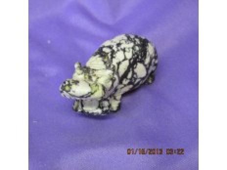 Jasper Hippo