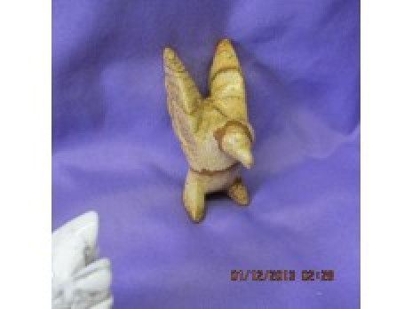 Picture Jasper Duck