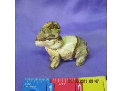 Picture Jasper Ram