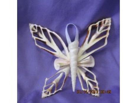 Round Sea Shell Wall Hanging