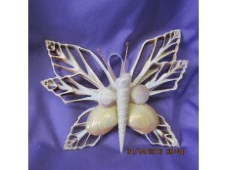 Seashell Butterfly Wall Hanging