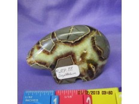 Septarian Zuny Bear