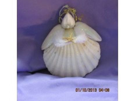 Shell Angels