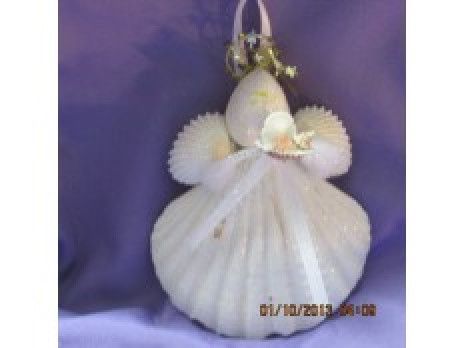 Shell Angels