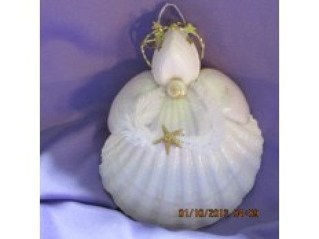 Shell Angels