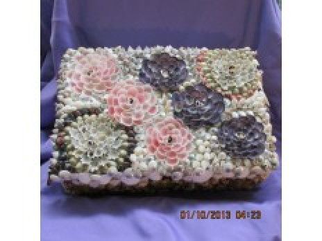 Shell Jewelry Box