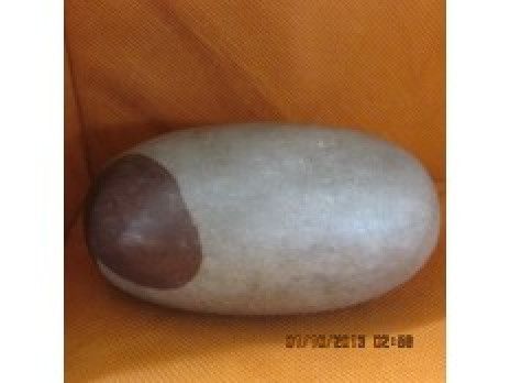 Shiva Lingum