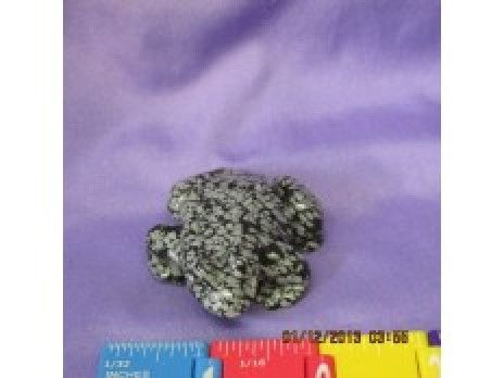 Snowflake Obsidian Frog