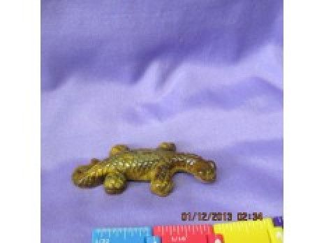 Tiger Eye Lizard