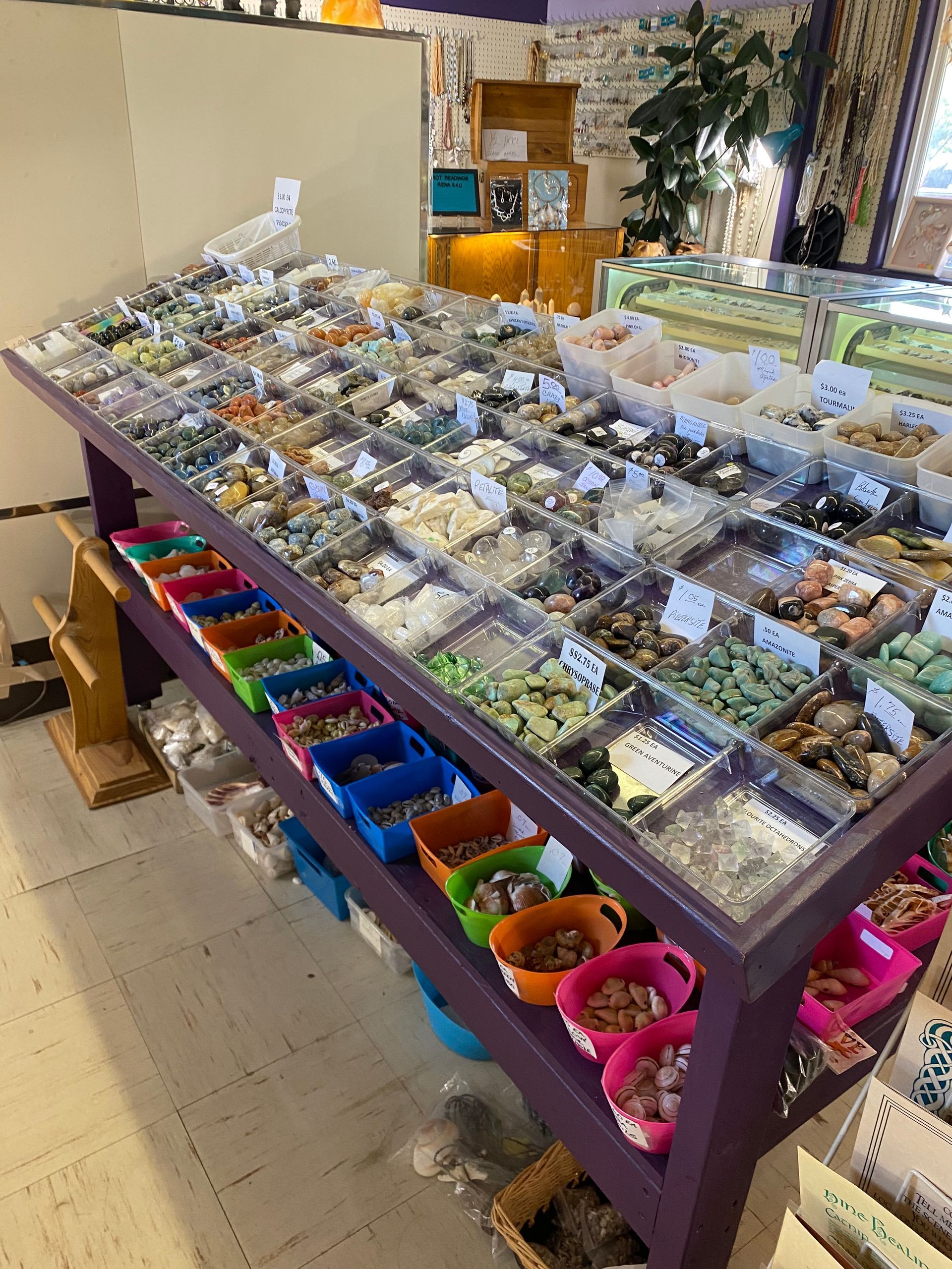 Display table of assorted succulents and small plants in clear containers at a plant shop