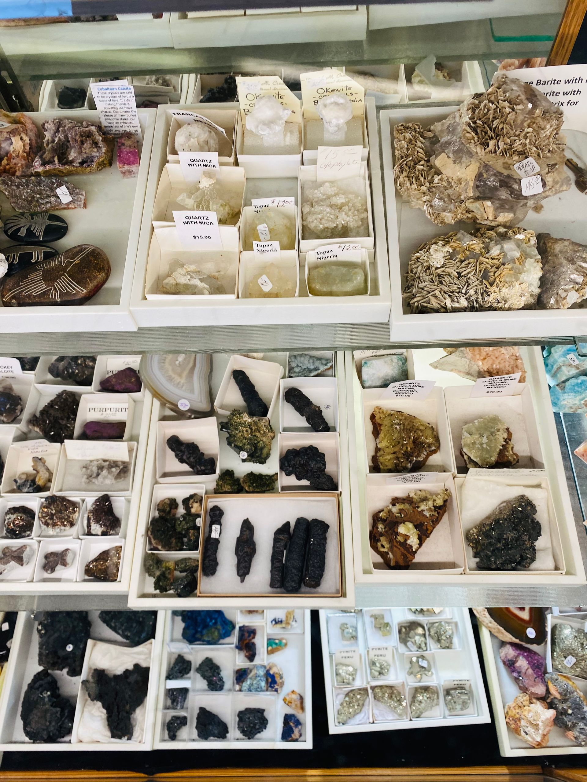Display case of assorted rocks, minerals, and shell fragments arranged in small trays and boxes.