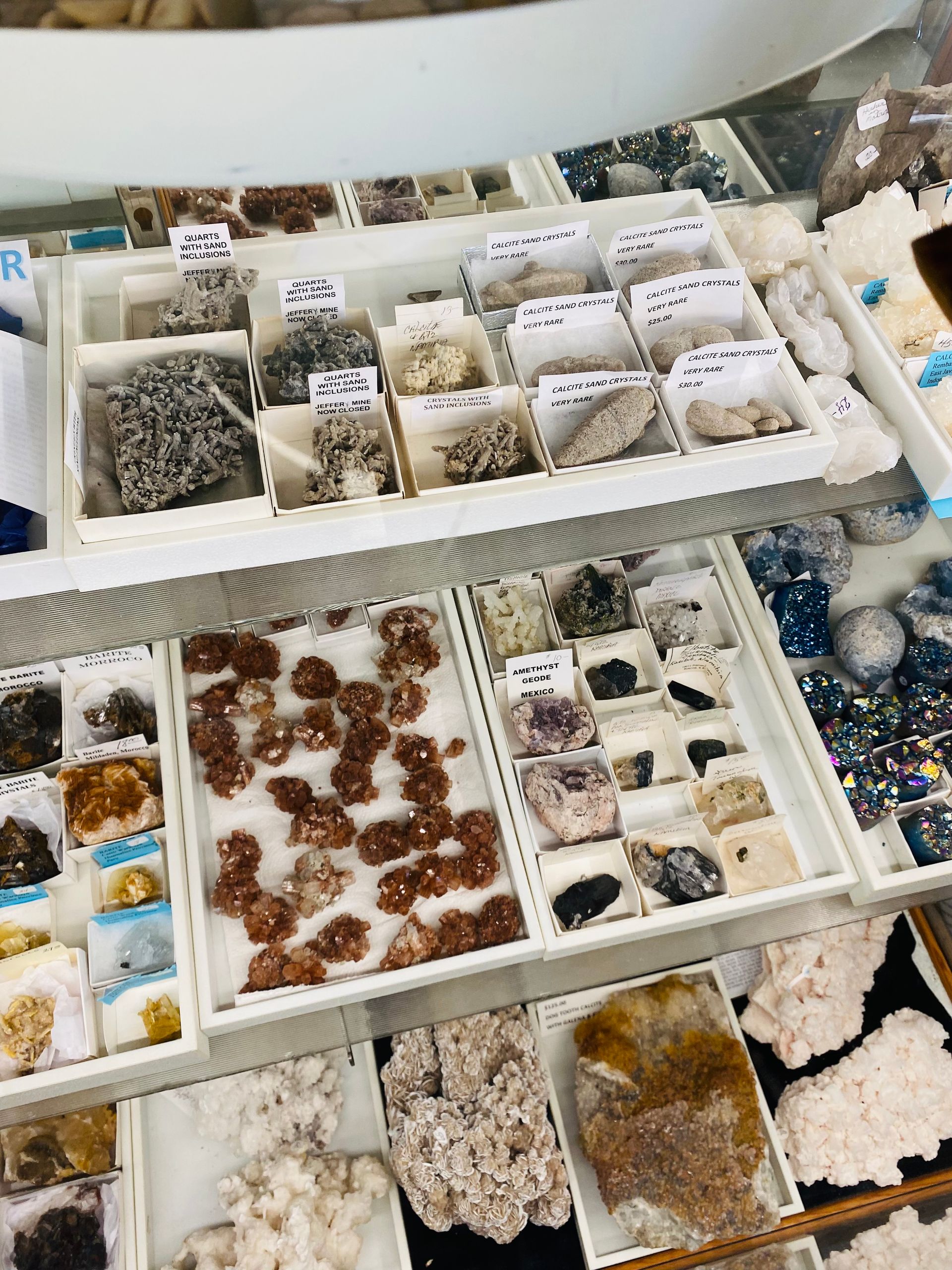 Assorted seashells and small stones sorted in white trays at a market stall