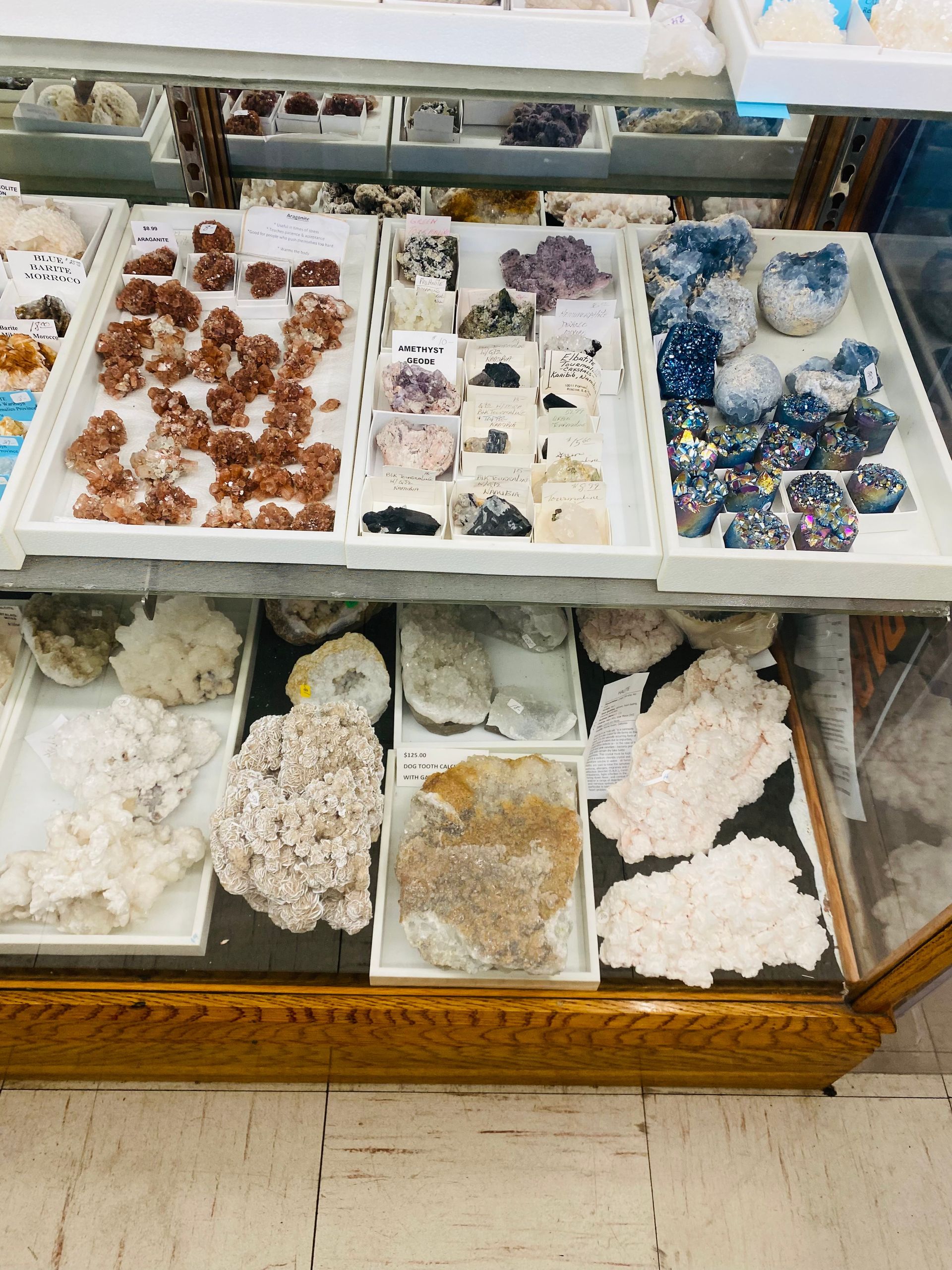 Display of assorted crystals and mineral clusters in white trays on wooden shelves.
