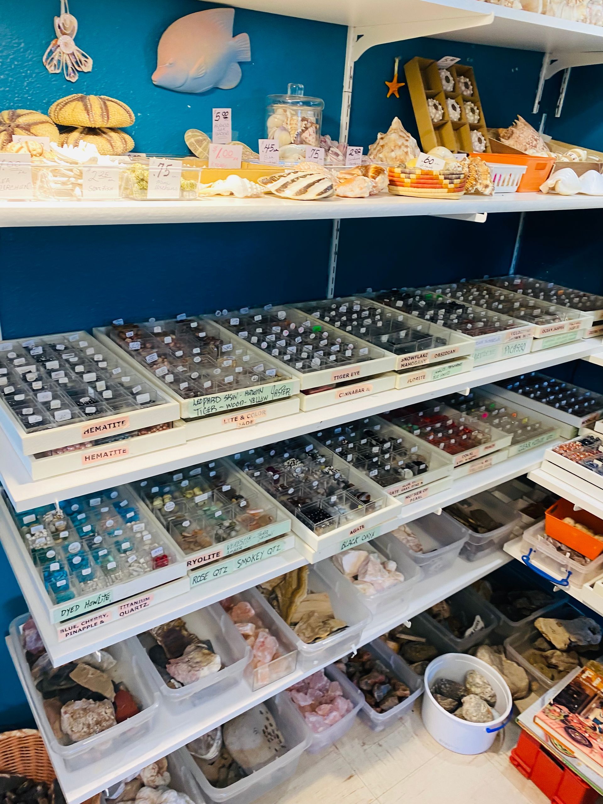 Shelves of organized craft beads and small supplies in plastic trays in a store display.
