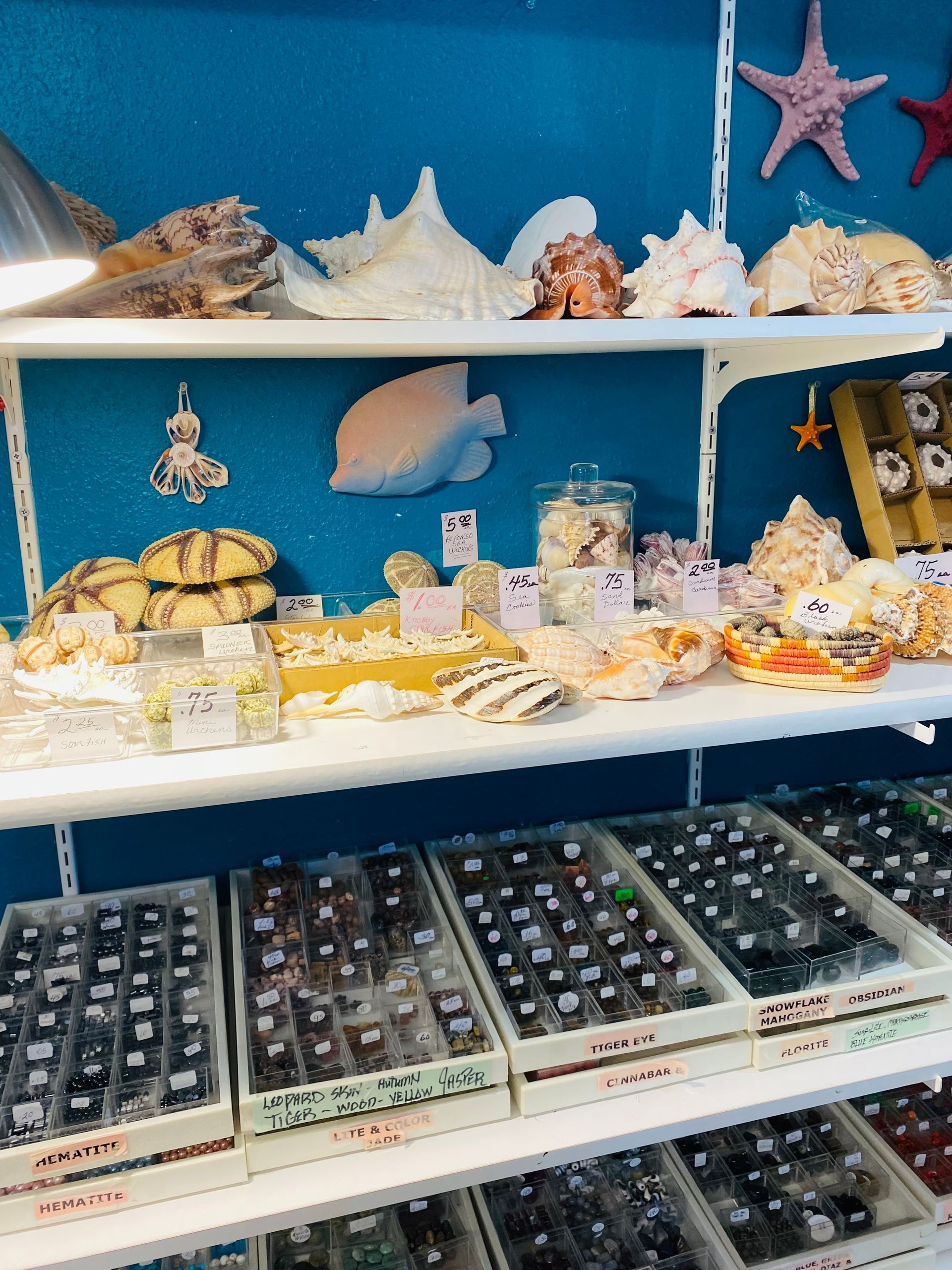 Blue-market shelf with starfish decor and rows of packaged pastries, sweets, and berries