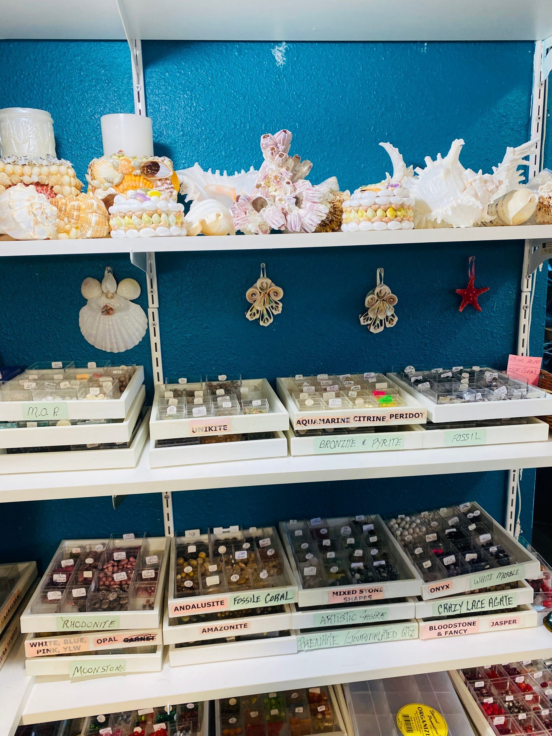 White shelves of assorted jewelry and accessories against a bright blue wall in a store display