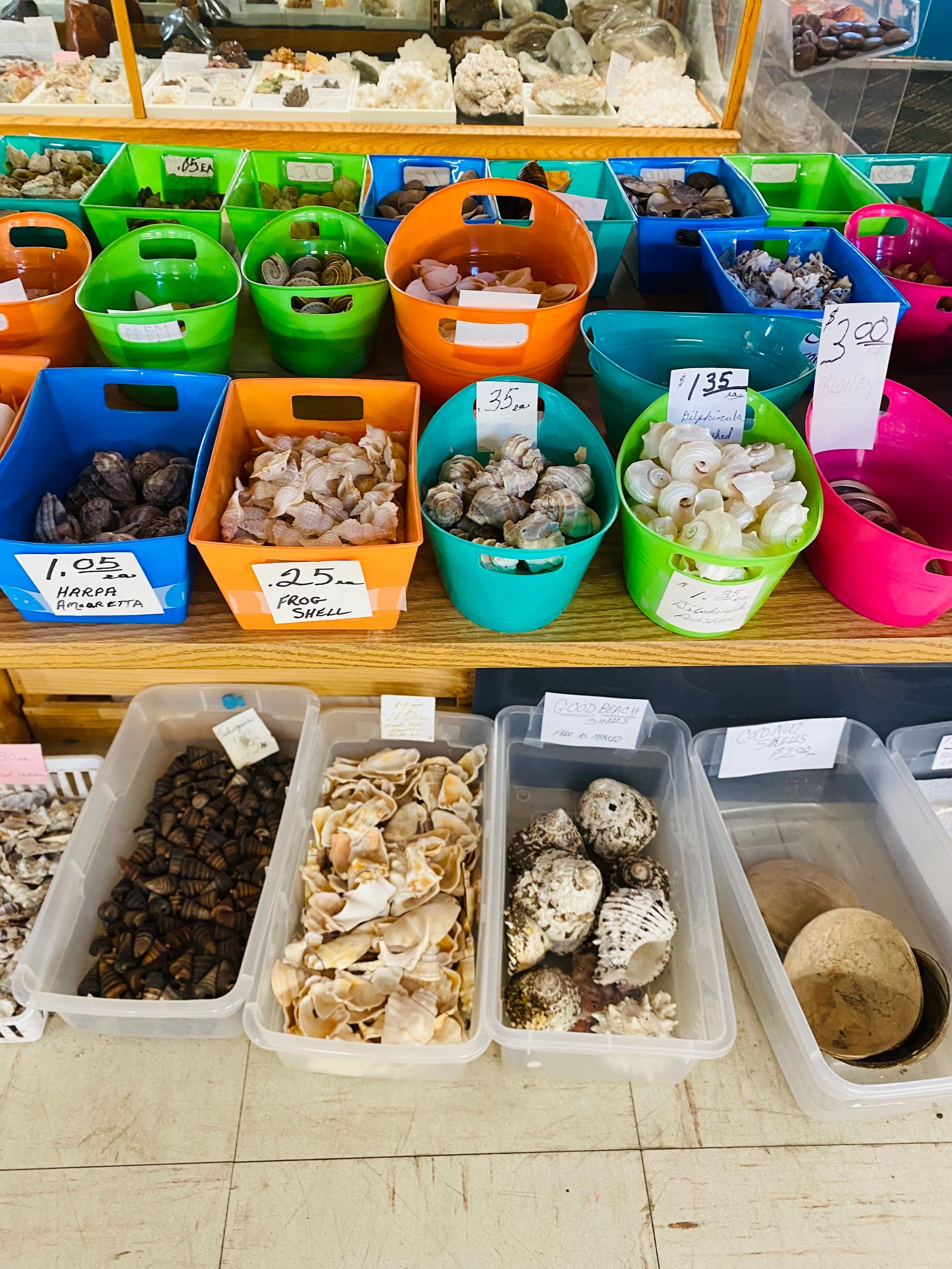 Colorful bins of assorted seashells and small rocks displayed at a market stall