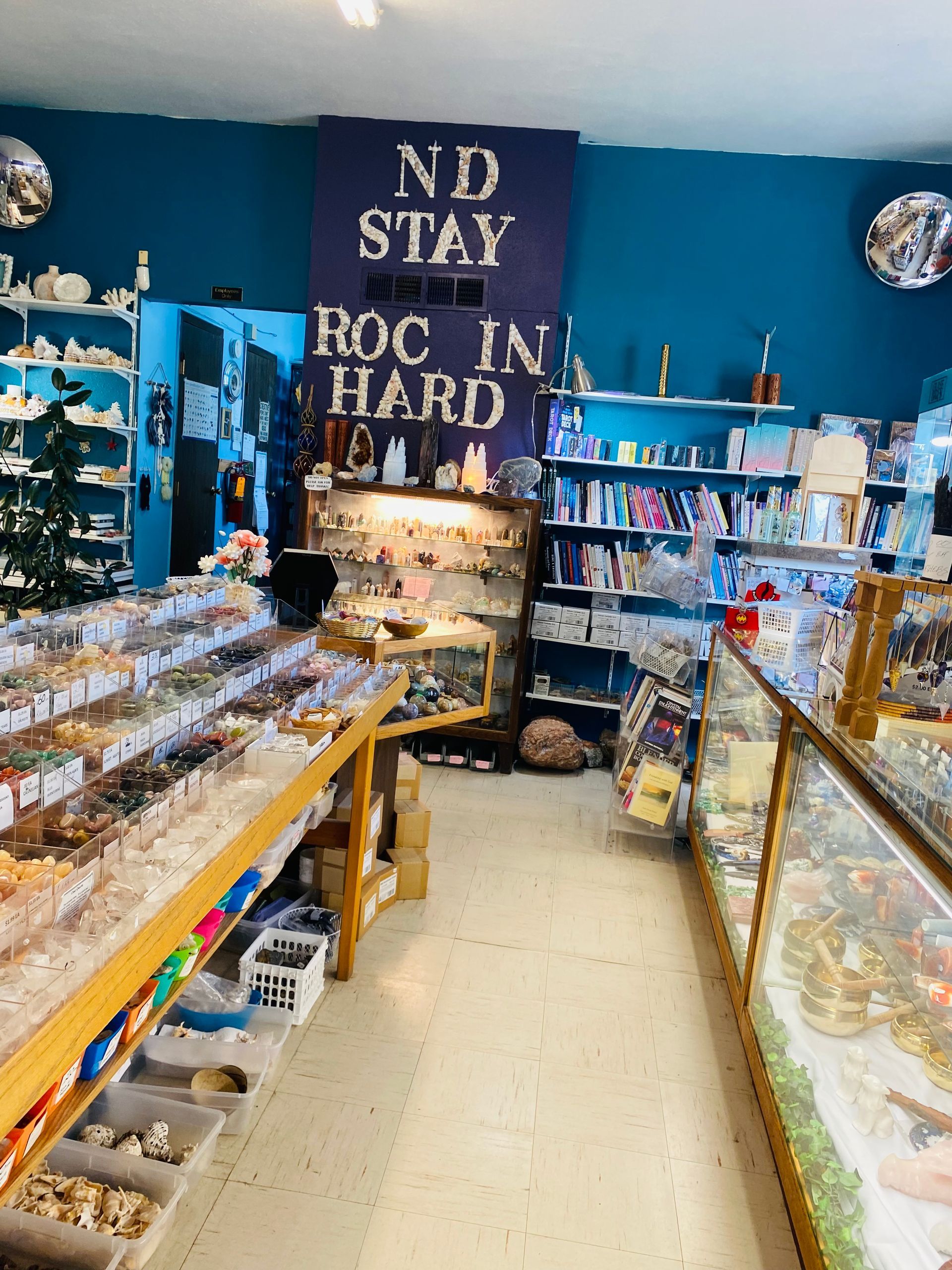 Candy and snack shop interior with blue walls, glass display cases, and “No Stay in Hard” sign.