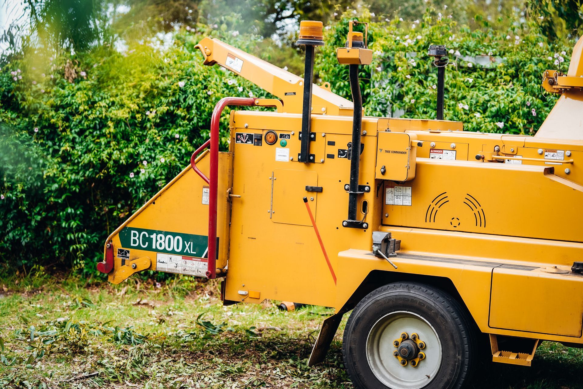 Arborist,tree,chainsaw,tree removal,stump grinding,tree care,pruning,hedge trimming,trimmer tree,tree lopper,wood chipping,mulch,tree surgeon,garden care,site clearance,fully insured arborist service,Inverloch,Wonthaggi,Korumburra