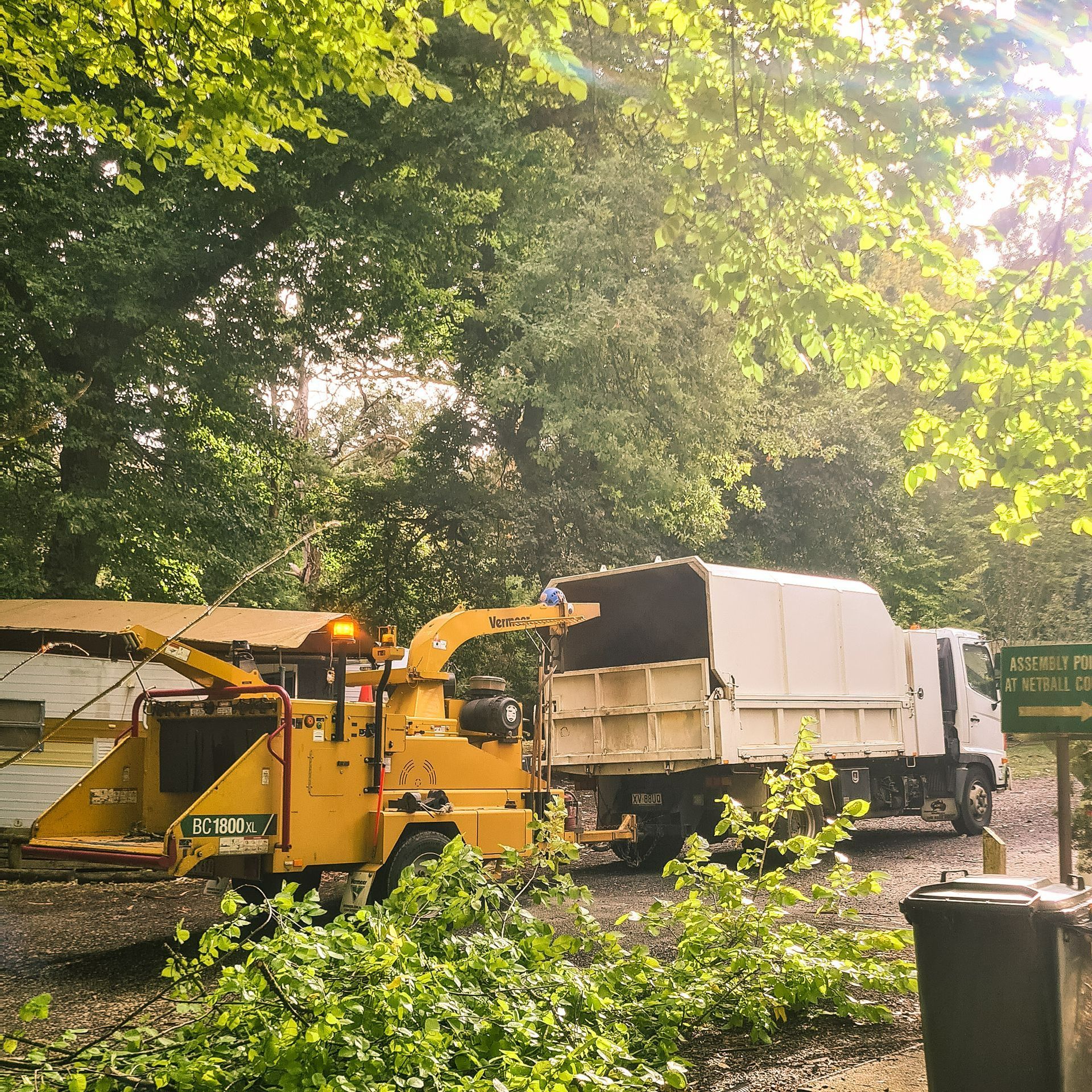 Arborist,tree,chainsaw,tree removal,stump grinding,tree care,pruning,hedge trimming,trimmer tree,tree lopper,wood chipping,mulch,tree surgeon,garden care,site clearance,fully insured arborist service,Inverloch,Wonthaggi,Korumburra
