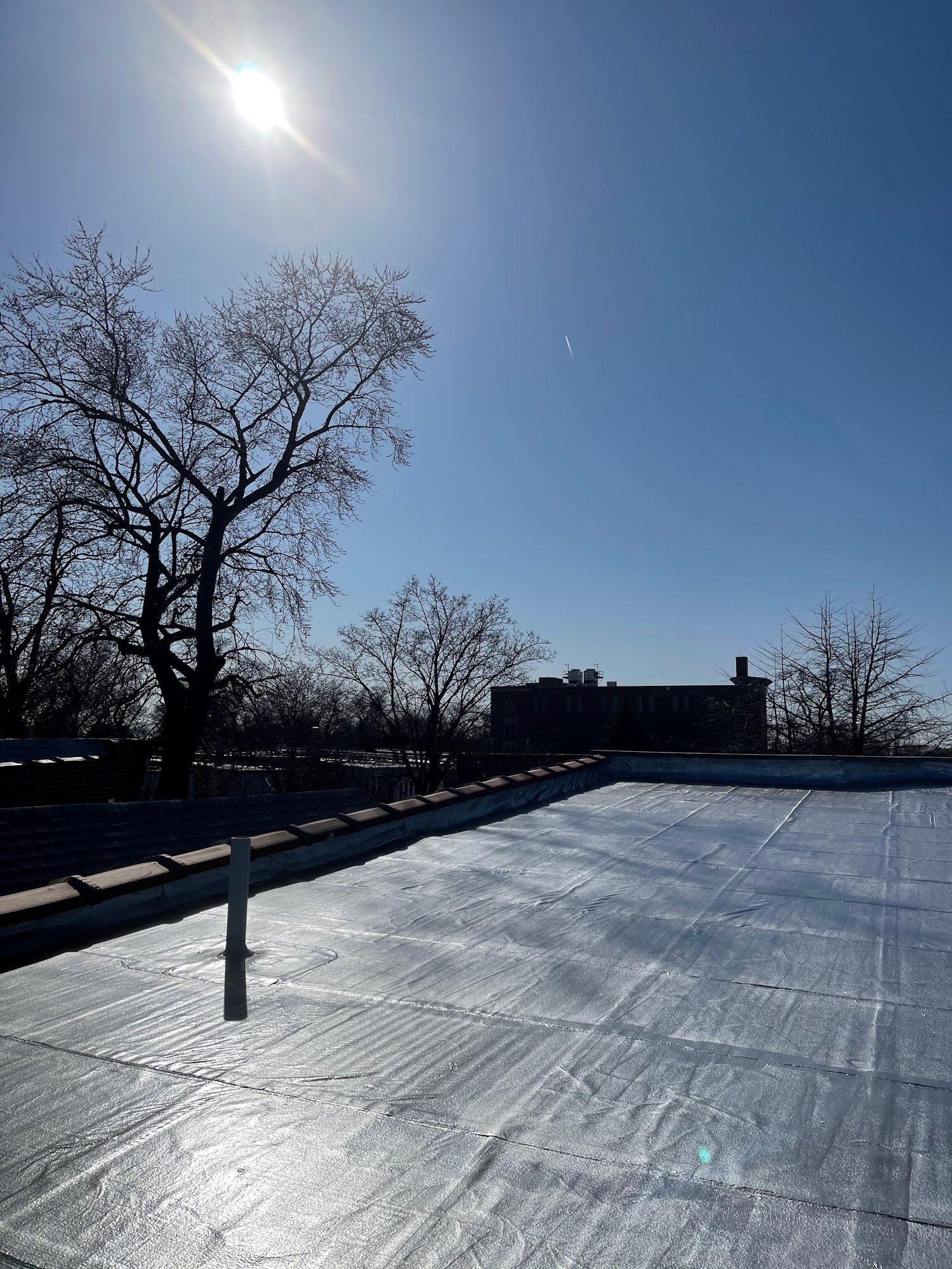 Sunny winter scene with a snow-covered roof, bare trees, and a building silhouetted against a blue sky.