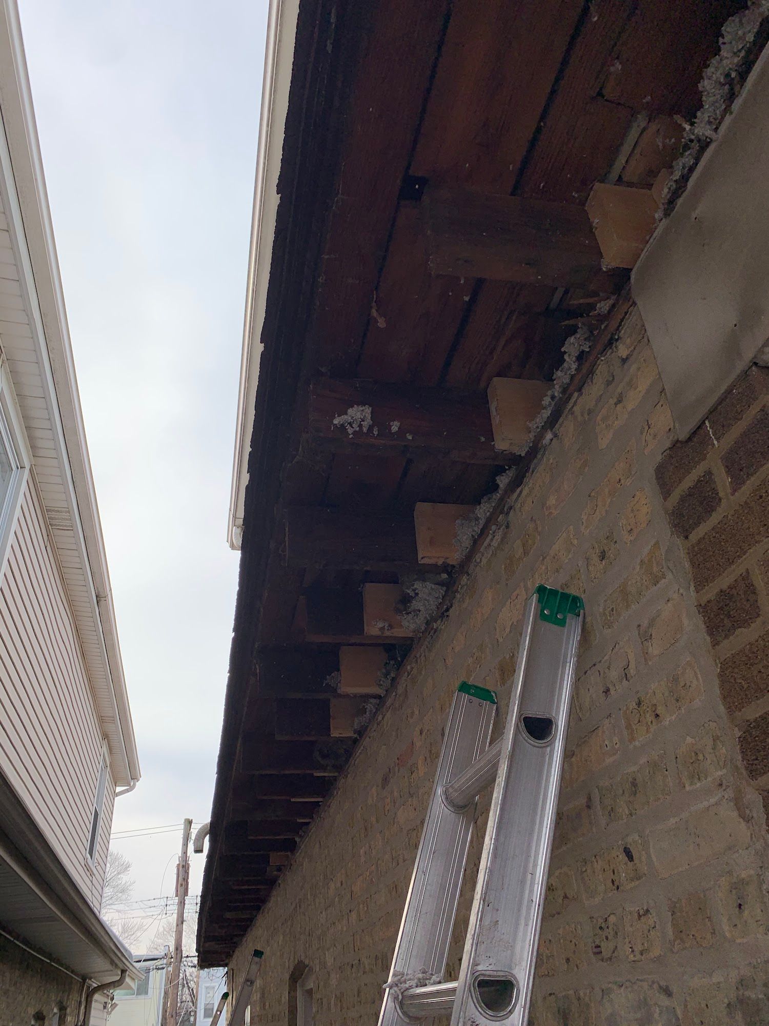 A ladder leans against a brick wall under exposed wooden roof beams outdoors.