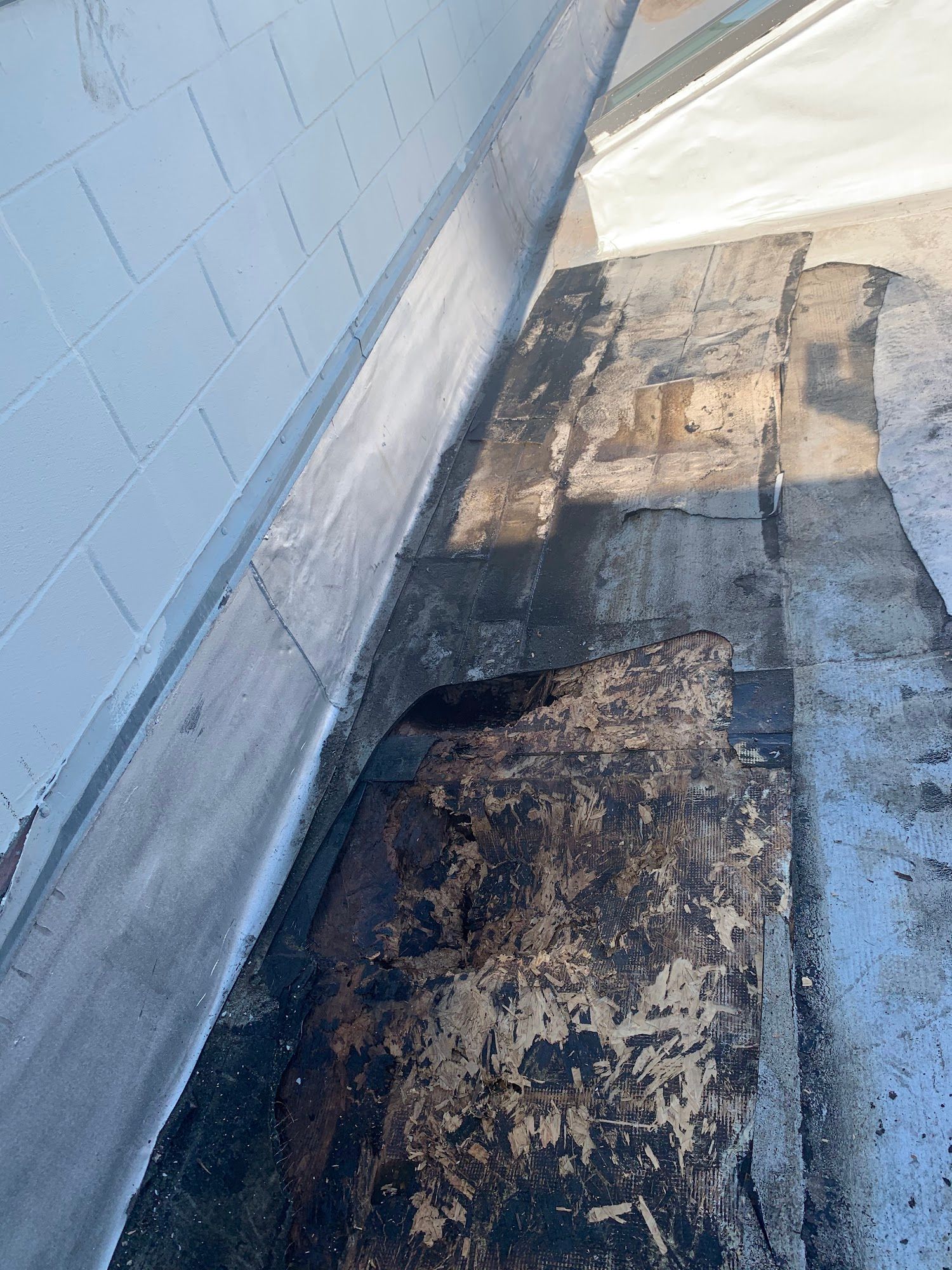 Damaged flat roof with peeling black tar and water stains beside a blue wall