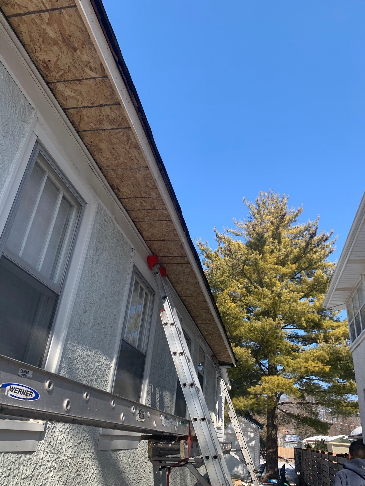 Ladder leaned against a house under repair, with a tree and blue sky in the background.