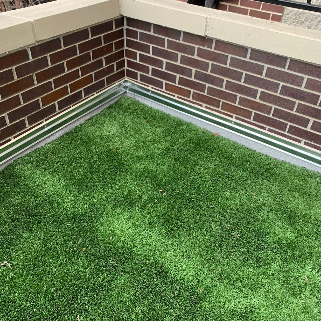 Artificial turf corner bordered by low brick walls and beige trim