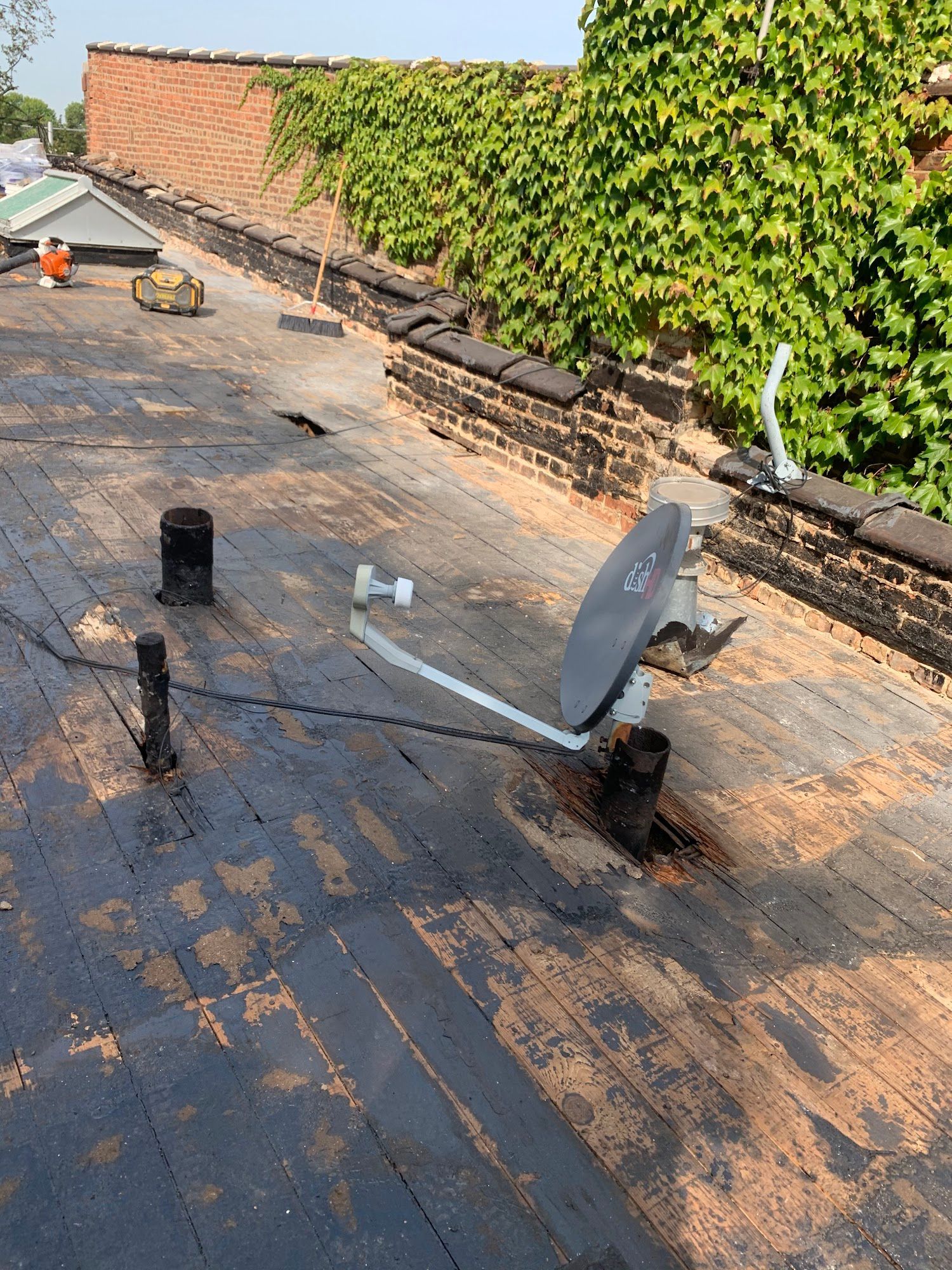 Rooftop with black membrane, satellite dish, vents, and a brick wall covered in green ivy