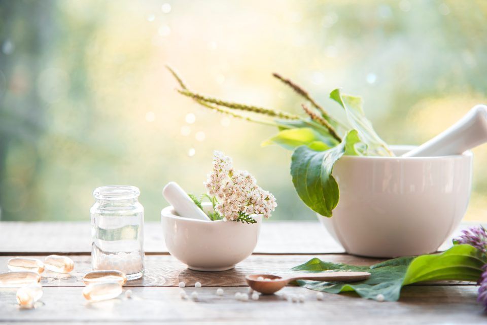 Spa still life with white bowls, herbs, flowers, and a mortar and pestle on a sunlit windowsill