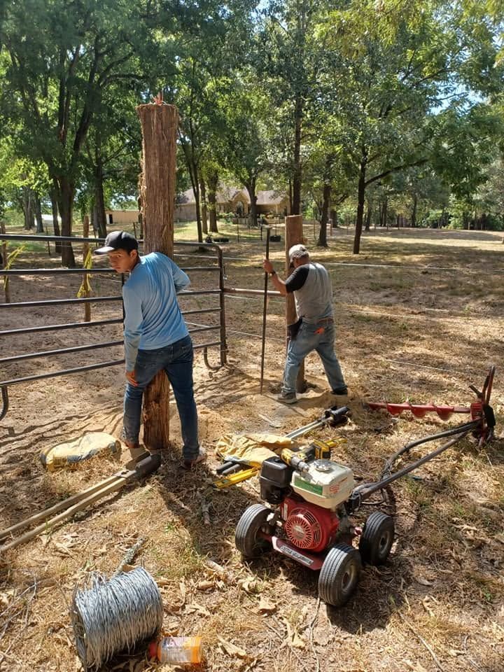 Two workers digging near a fenced tree in a wooded park, with a red machine and tools on the ground