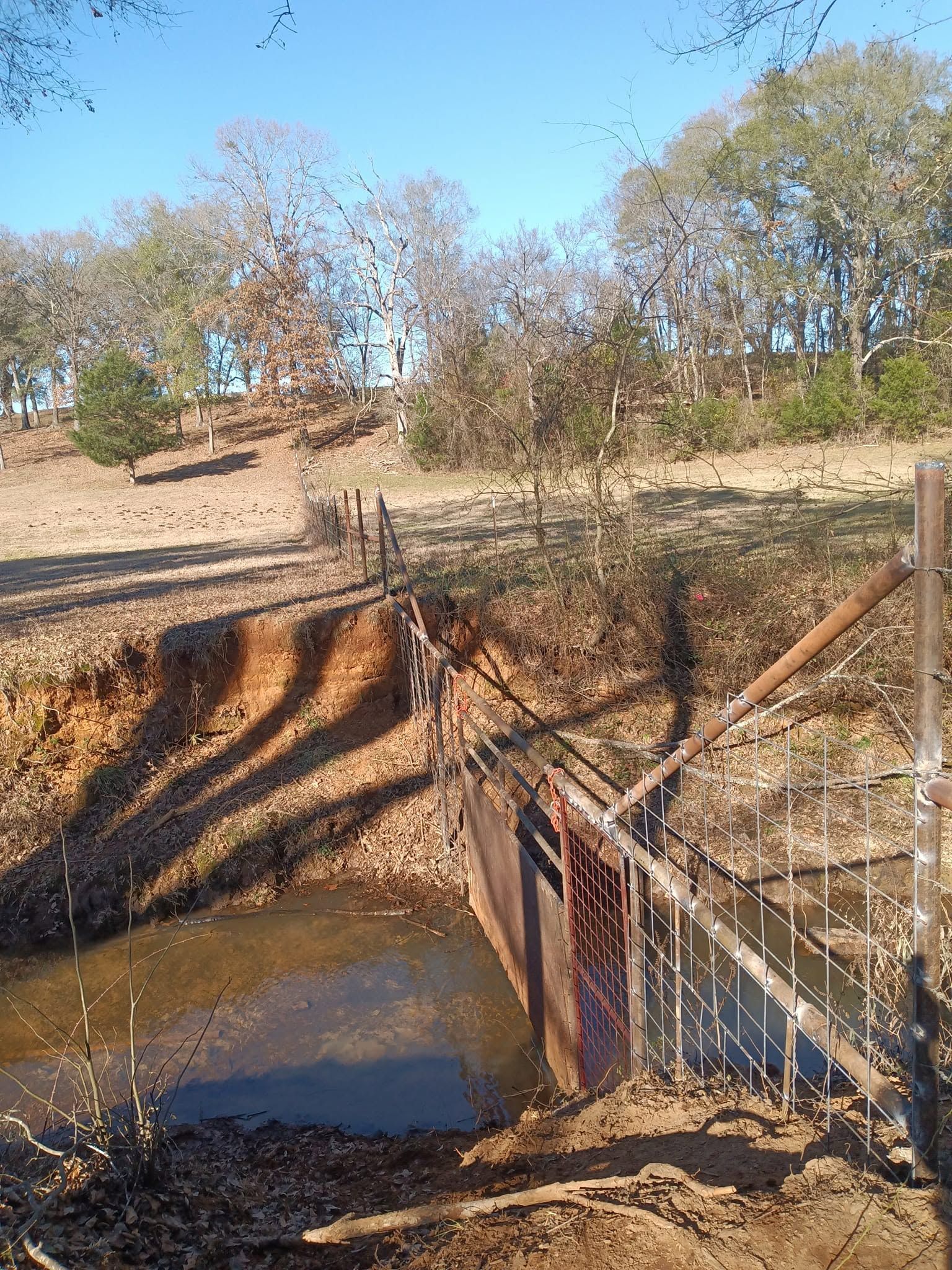 Eroded dirt bank beside muddy water and a wire fence in a dry, wooded area