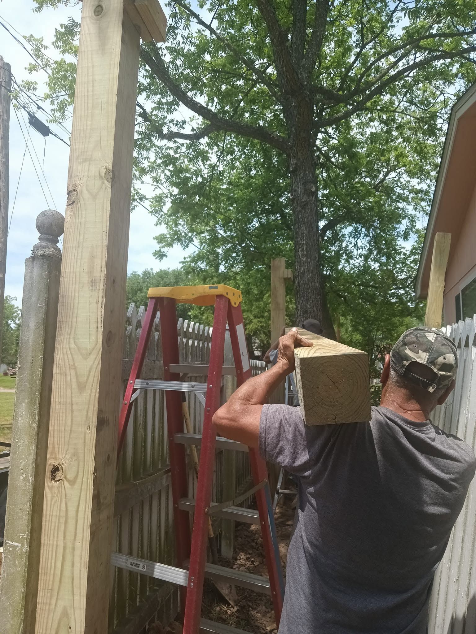 Worker carrying a wooden post beside a ladder and tree in a yard