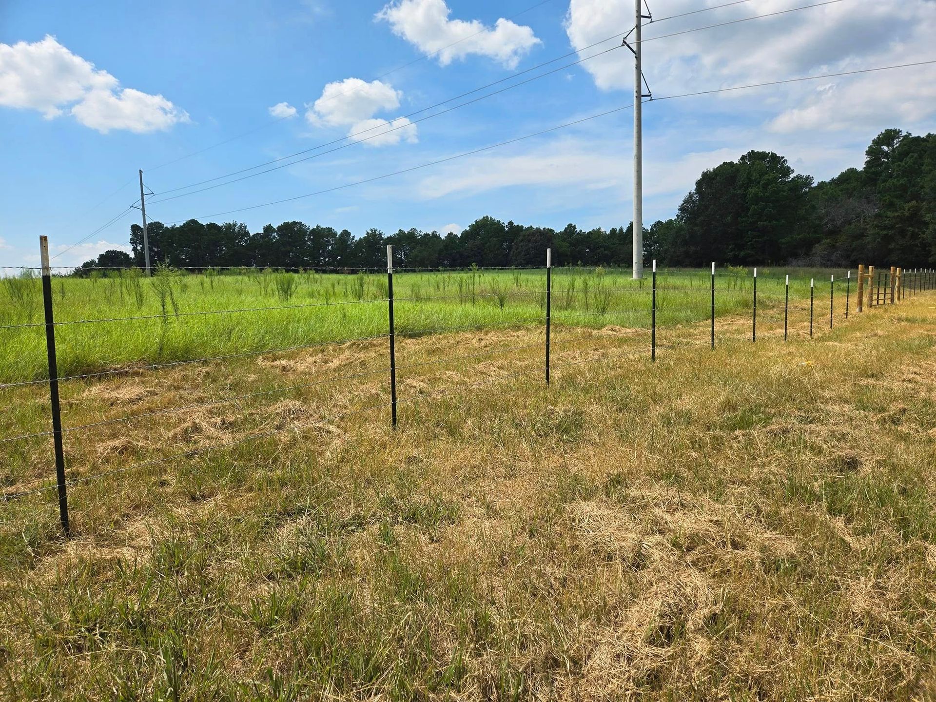Grassy field with a wire fence, utility poles, and a blue sky with clouds