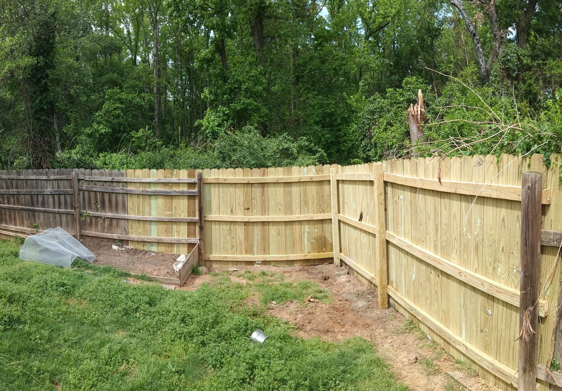 New wooden fence enclosing a grassy backyard with trees in the background