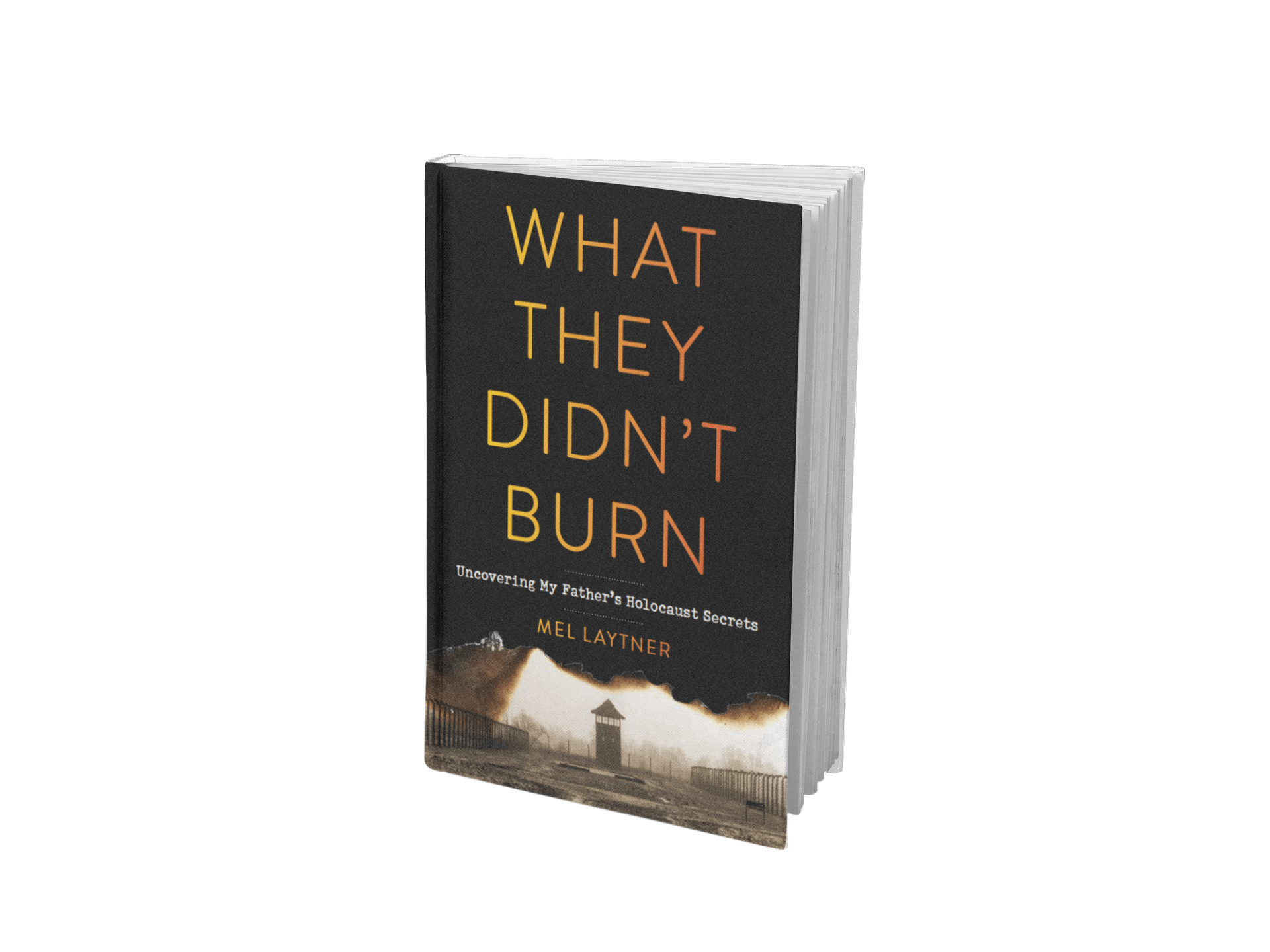 Click to Pre-Order What They Didn't Burn by Mel Laytner