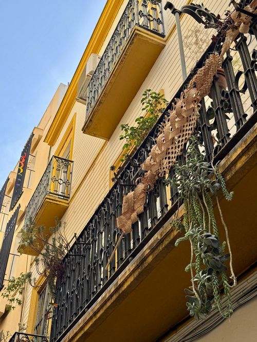 Balconies on a yellow building with black railings and hanging greenery against a blue sky