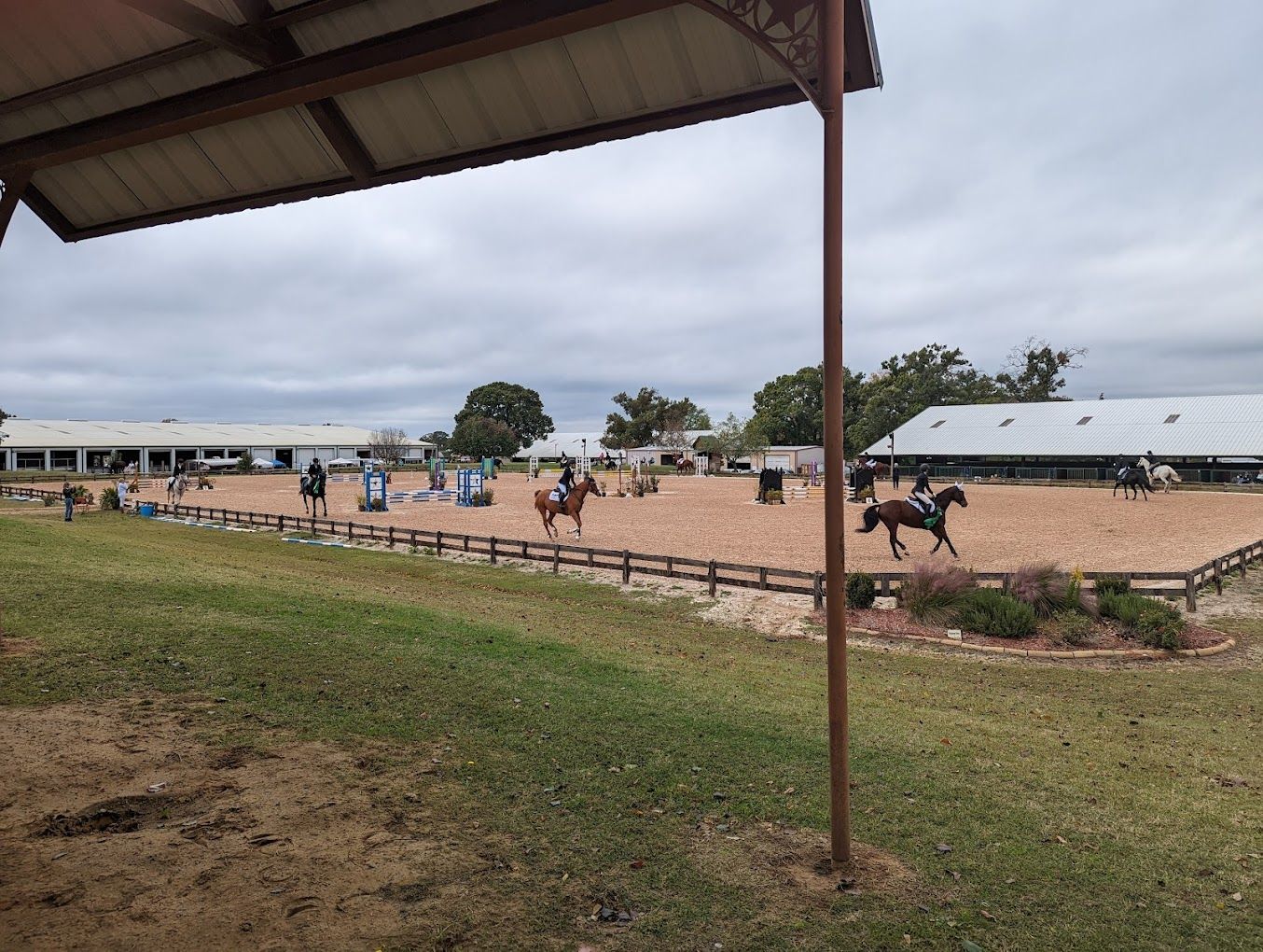 Horse Training