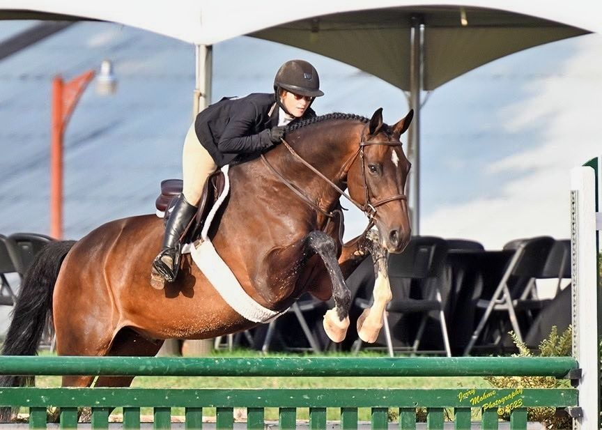 a woman is riding a brown horse over a green fence .