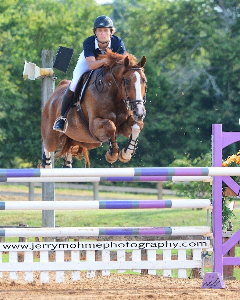 Horse Jumping