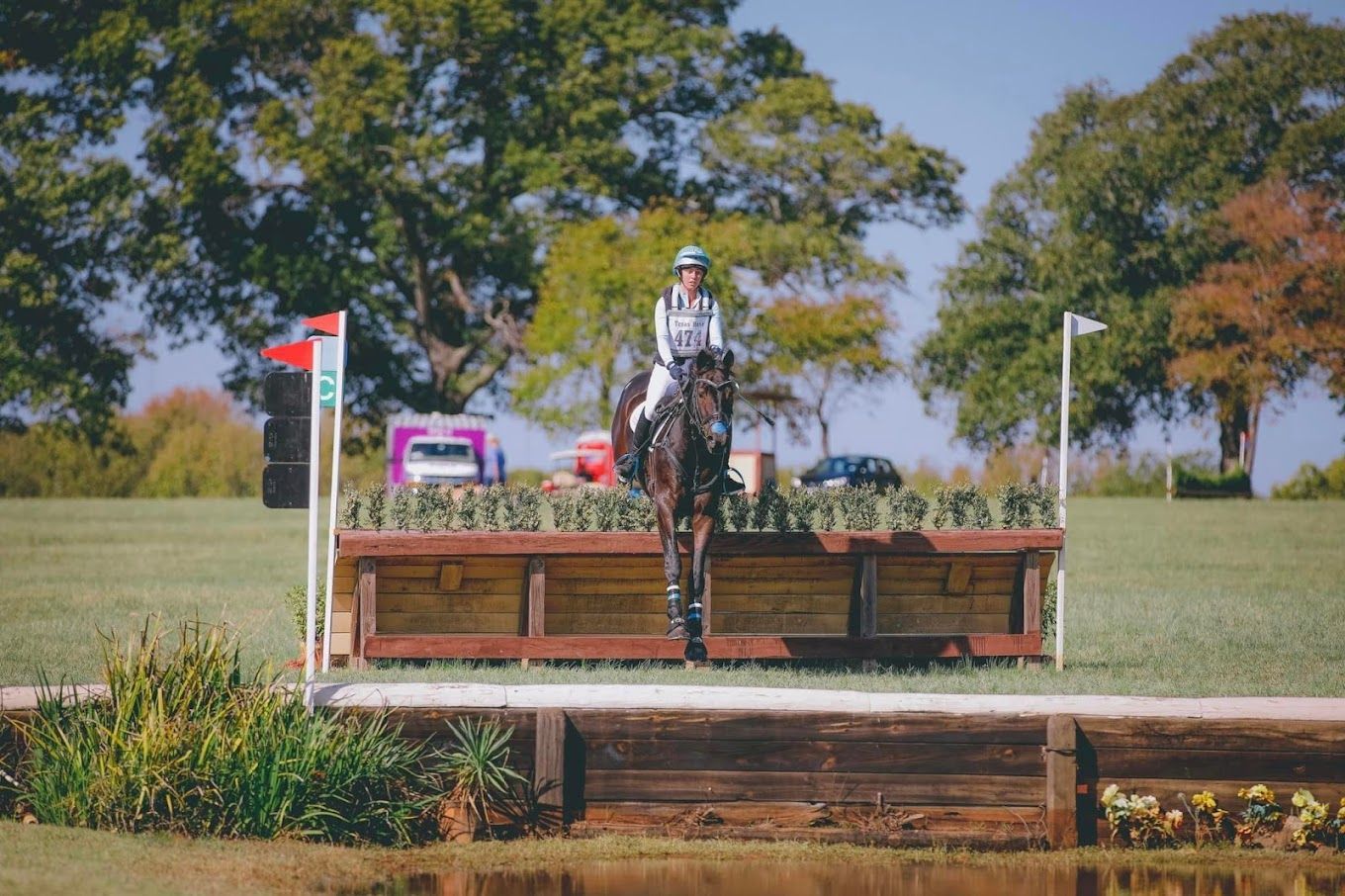 horse jumping
