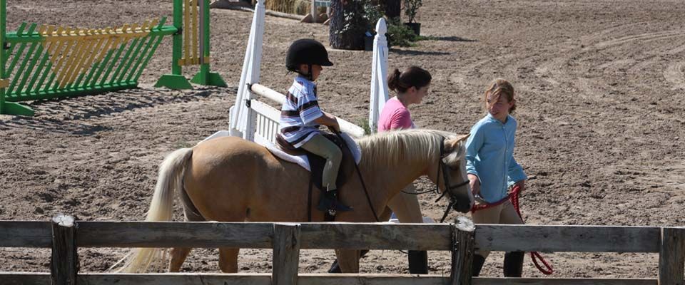 Horse Lessons