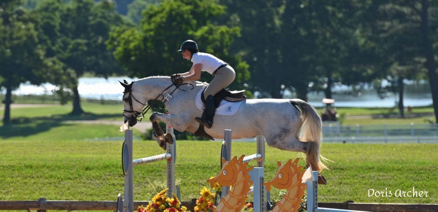 horse jumping