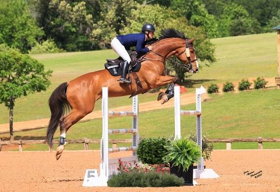 a woman is riding a brown horse over a hurdle .