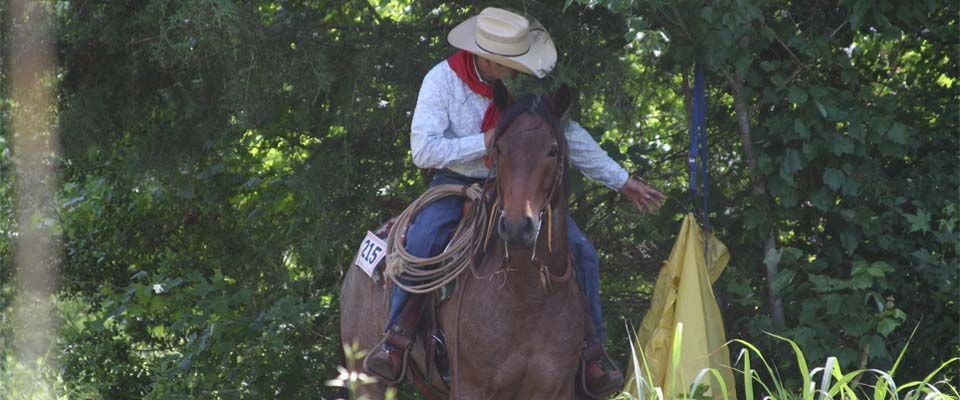 cowboy