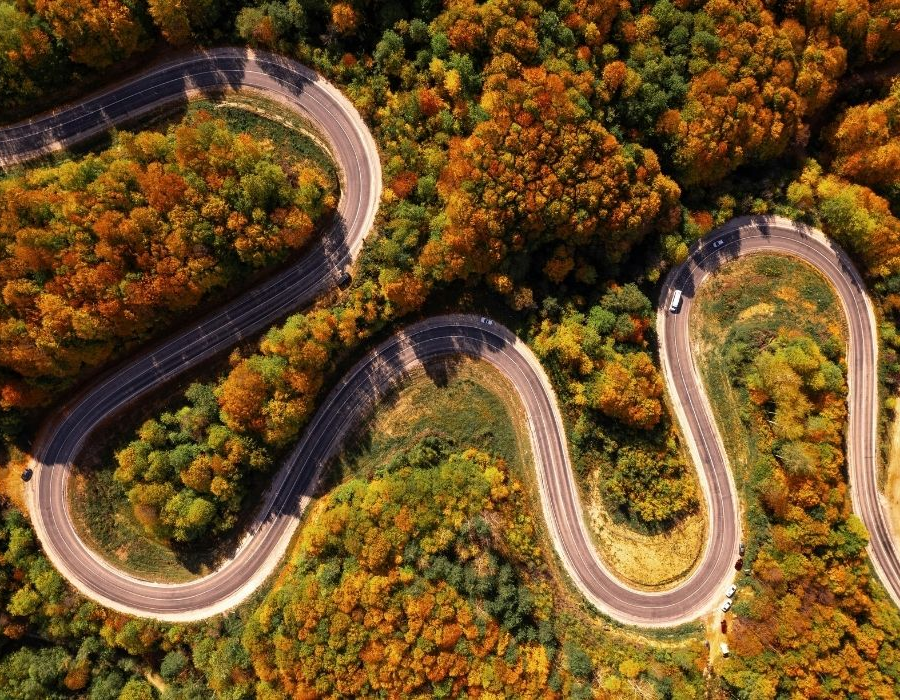 Winding road through dense autumn forest, seen from above