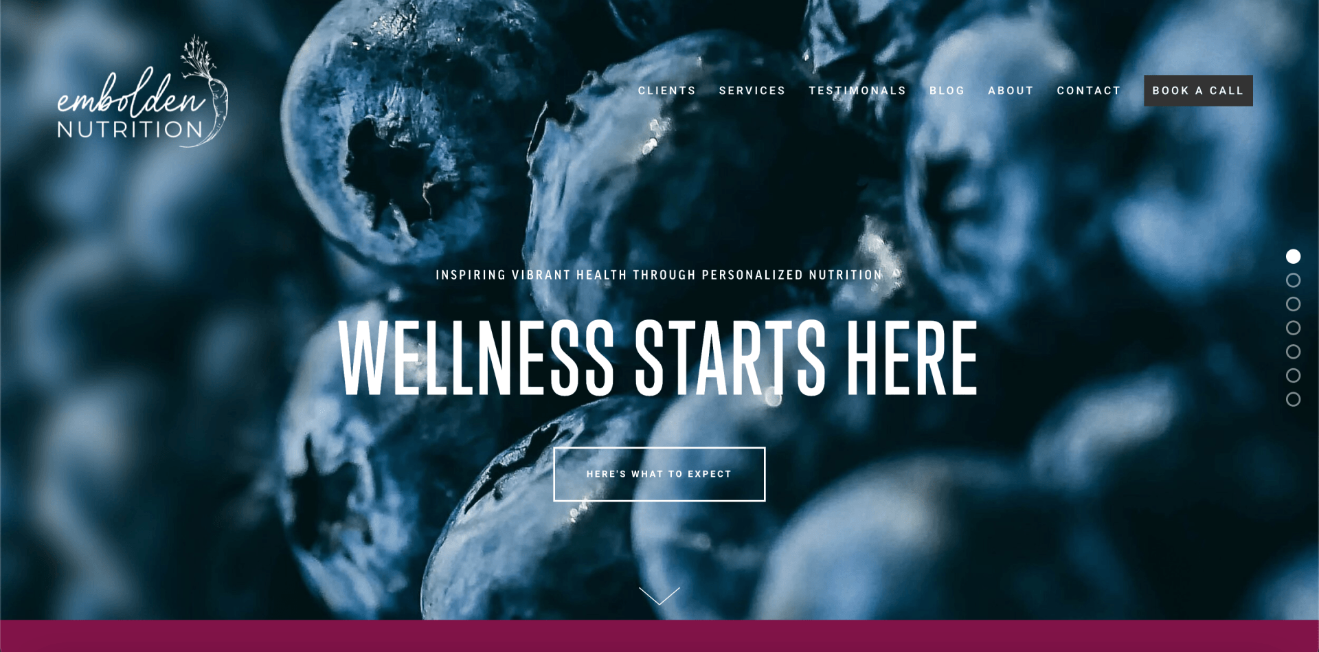 A screenshot of a website that says wellness starts here